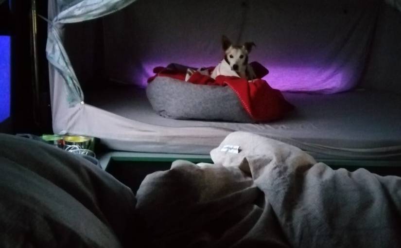 Een weekendje proefkamperen