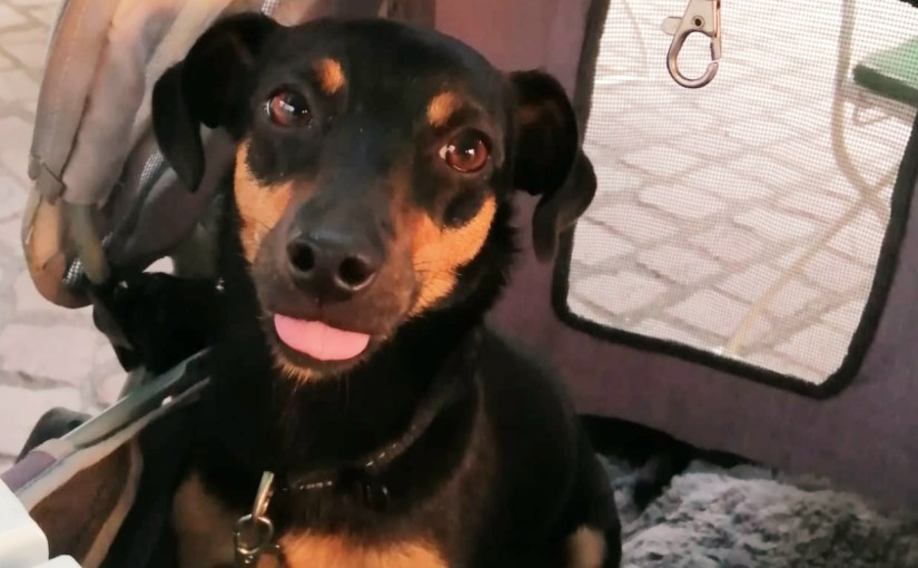 Bo(ot)reisje langs de&nbsp;Rijn