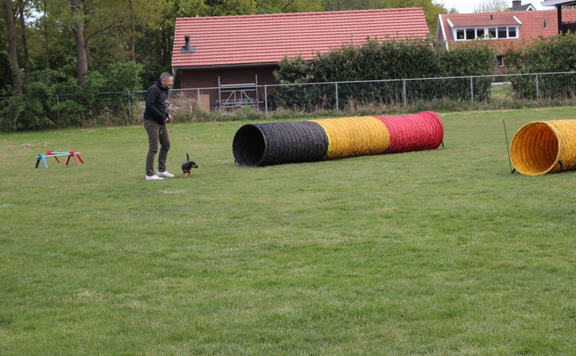 Rennen, springen, vliegen, duiken, vallen, opstaan en weer&nbsp;doorgaan